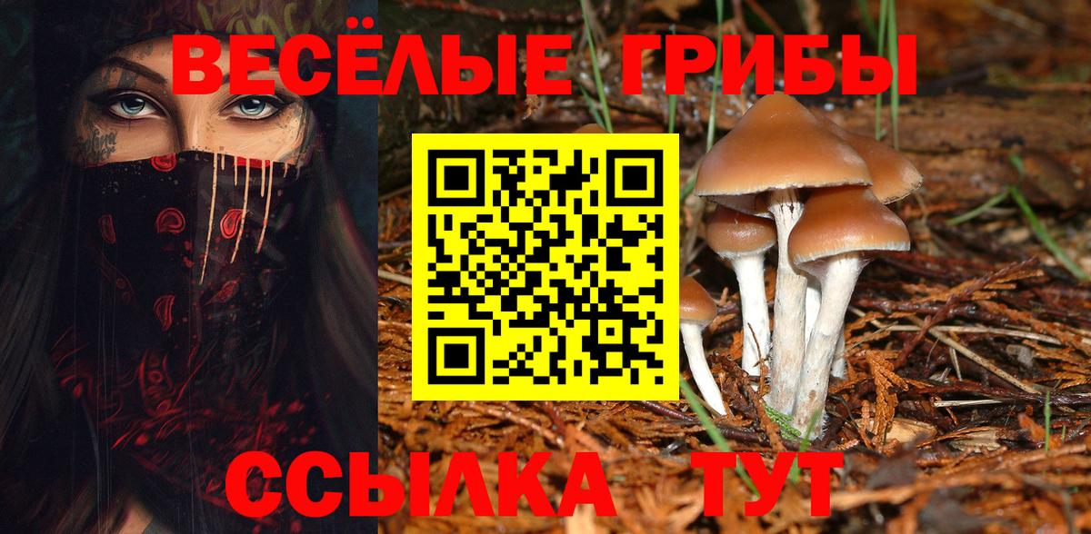 Галлюциногенные грибы GOLDEN TEACHER  цены наркотик  Вход с VPN  Саяногорск  Псилоцибиновые грибы Magic Shrooms 